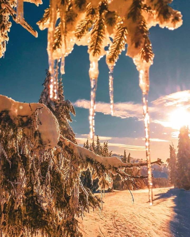 Sans Lux Apartman N42 Milmari Kopaonik Extérieur photo