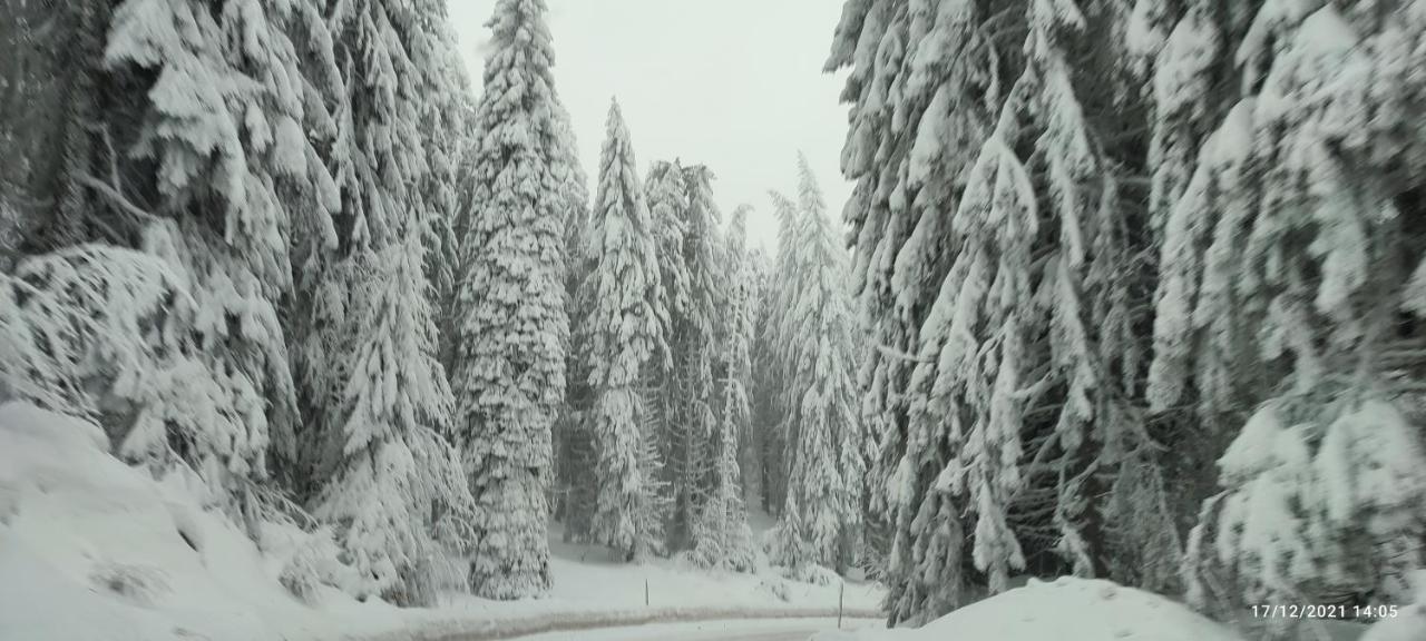 Sans Lux Apartman N42 Milmari Kopaonik Extérieur photo
